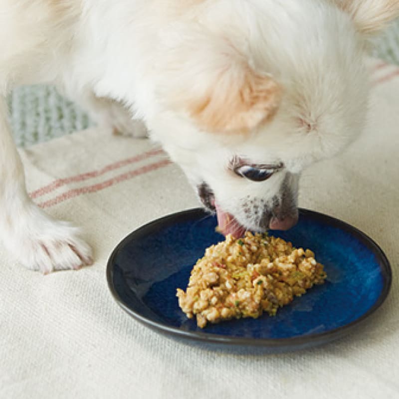 海外展開を開始。犬用「手作りごはん」を台湾で販売開始