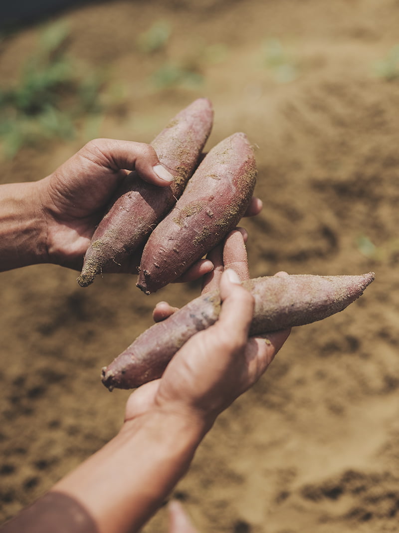 素材へのこだわりイメージ画像
