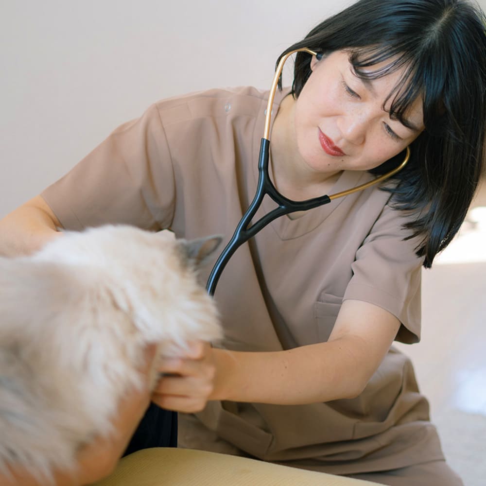 犬猫生活が大切にする「3つの約束」