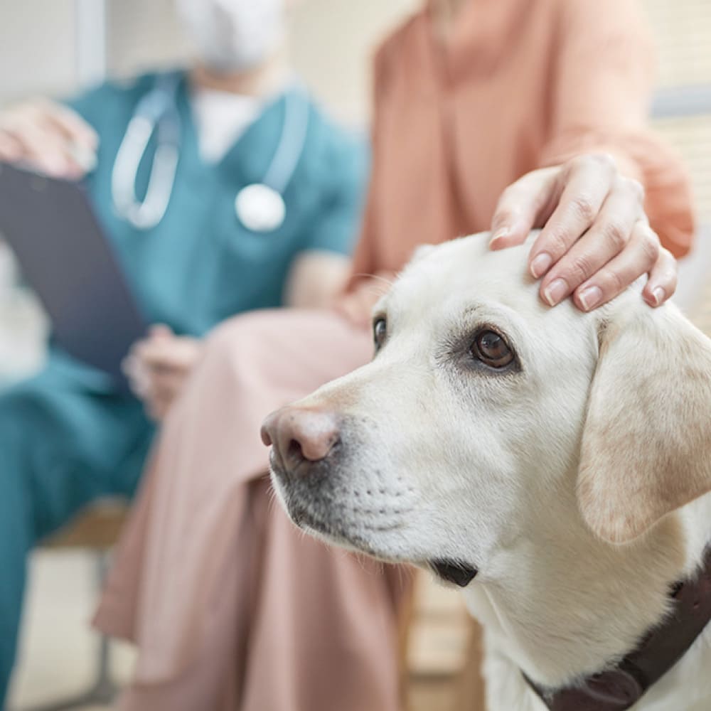 「動物と人を大切にする」運営を貫きます