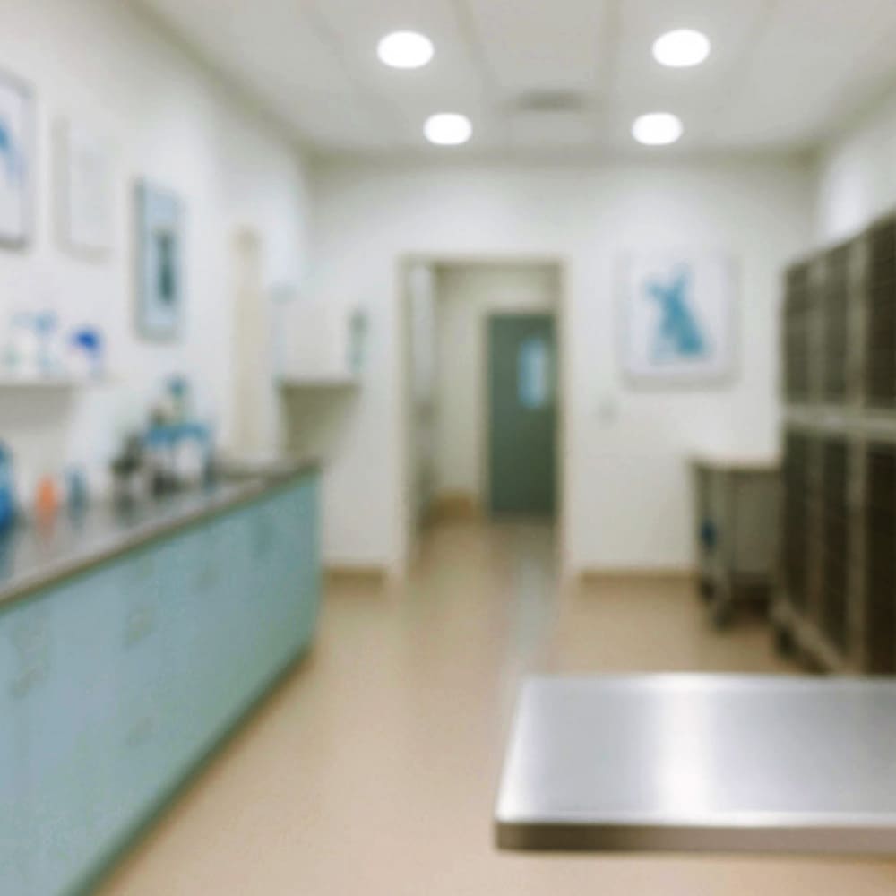 「同じ志を持つパートナー」として、共に歩みます