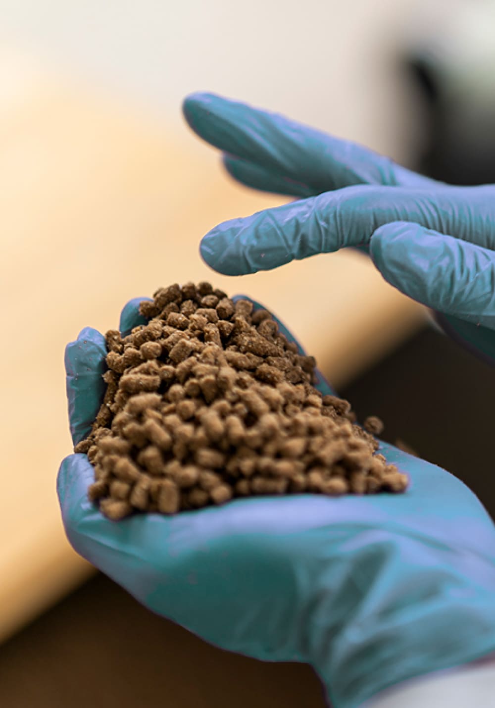 アジア全域へ、そして世界中へ