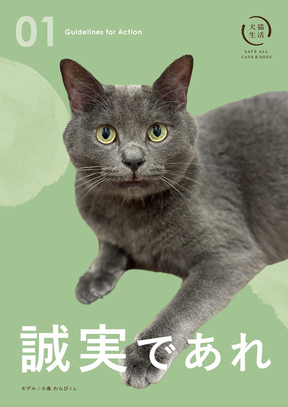 誠実であれ