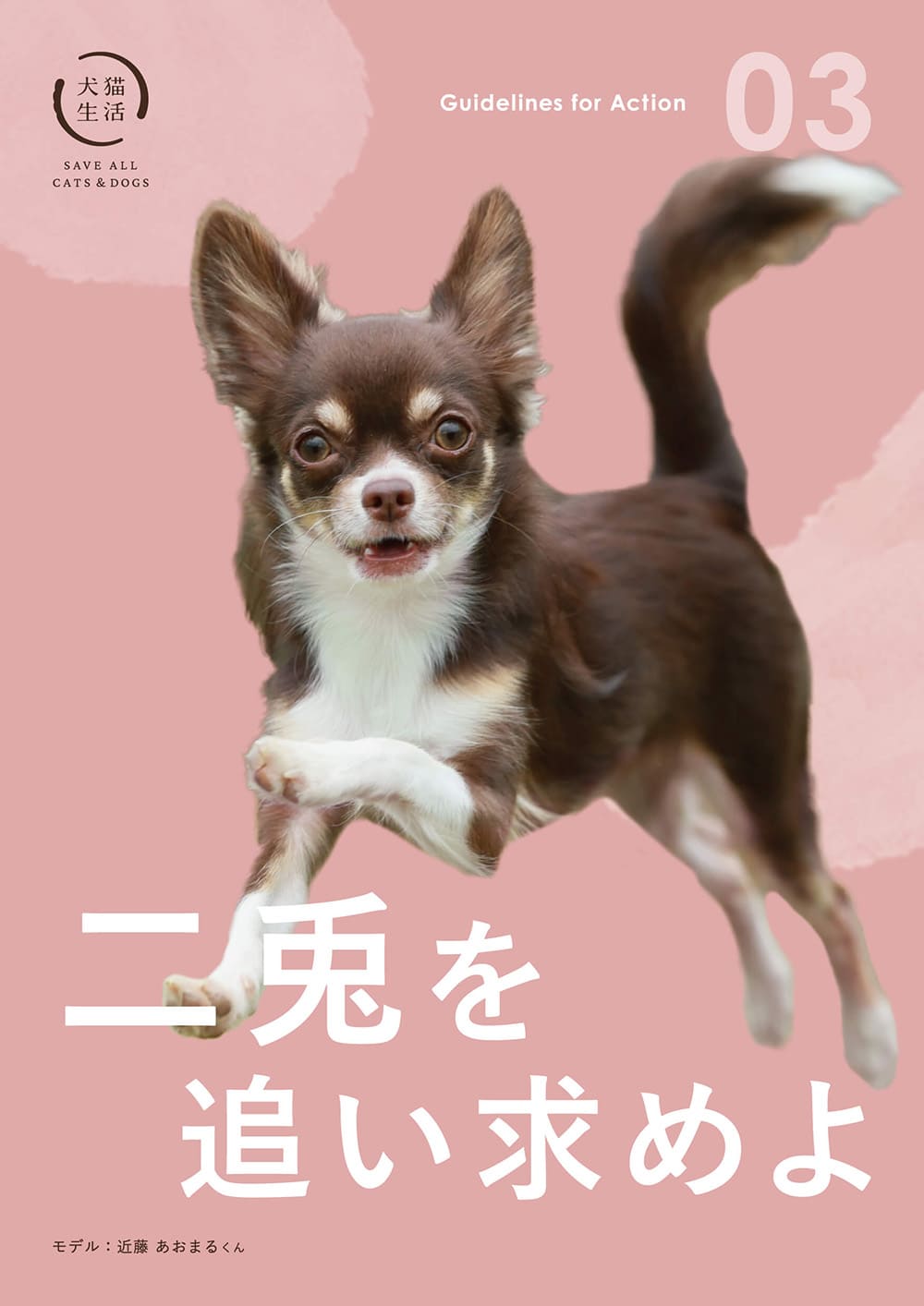 二兎を追い求めよ