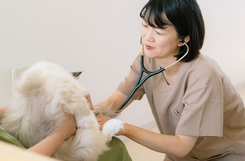 採用情報