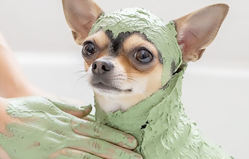 専門職としての正当な報酬体系の確立