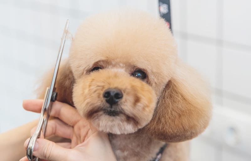 スキル向上のための学び続ける環境の整備