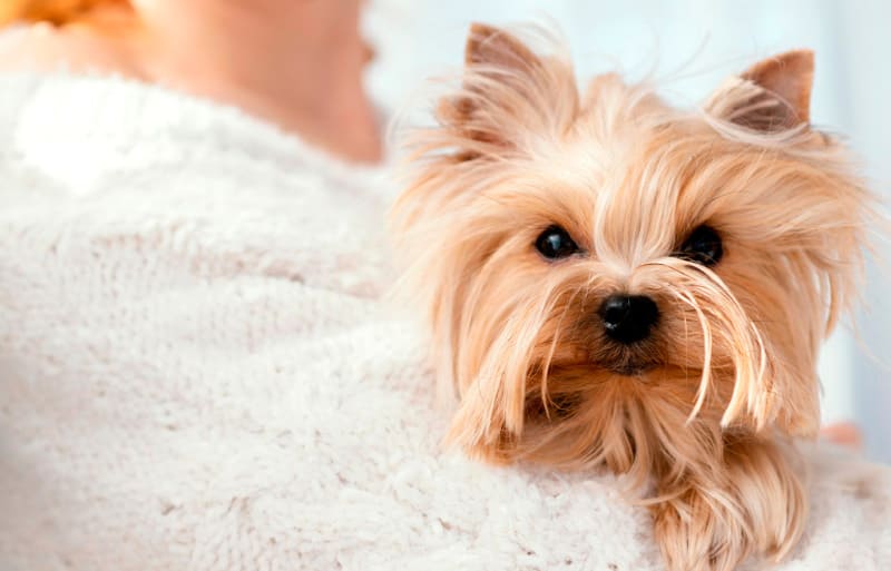 ウェルネスパートナーとしての高品質なサービス提供