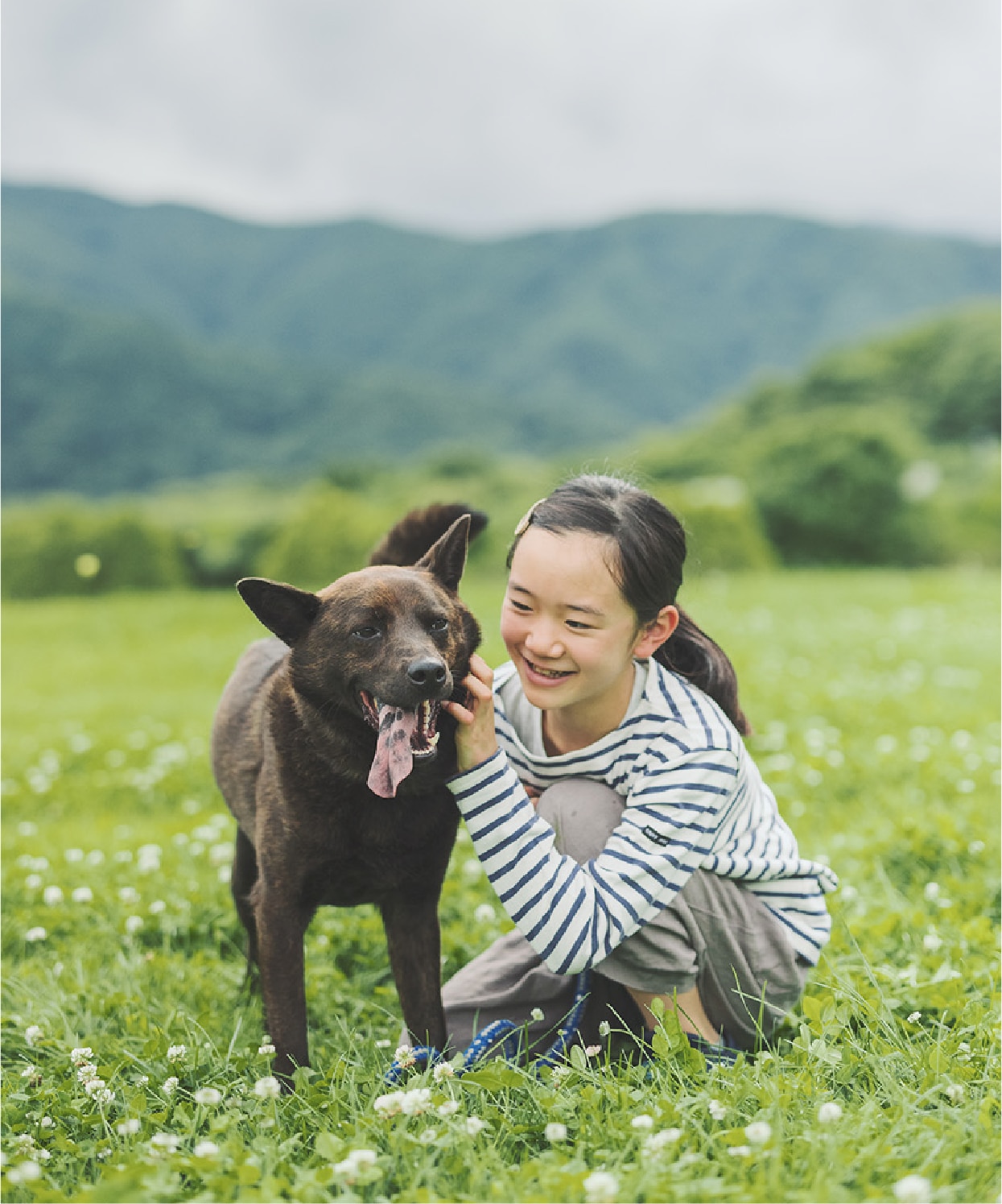ワンちゃんとの生活の写真