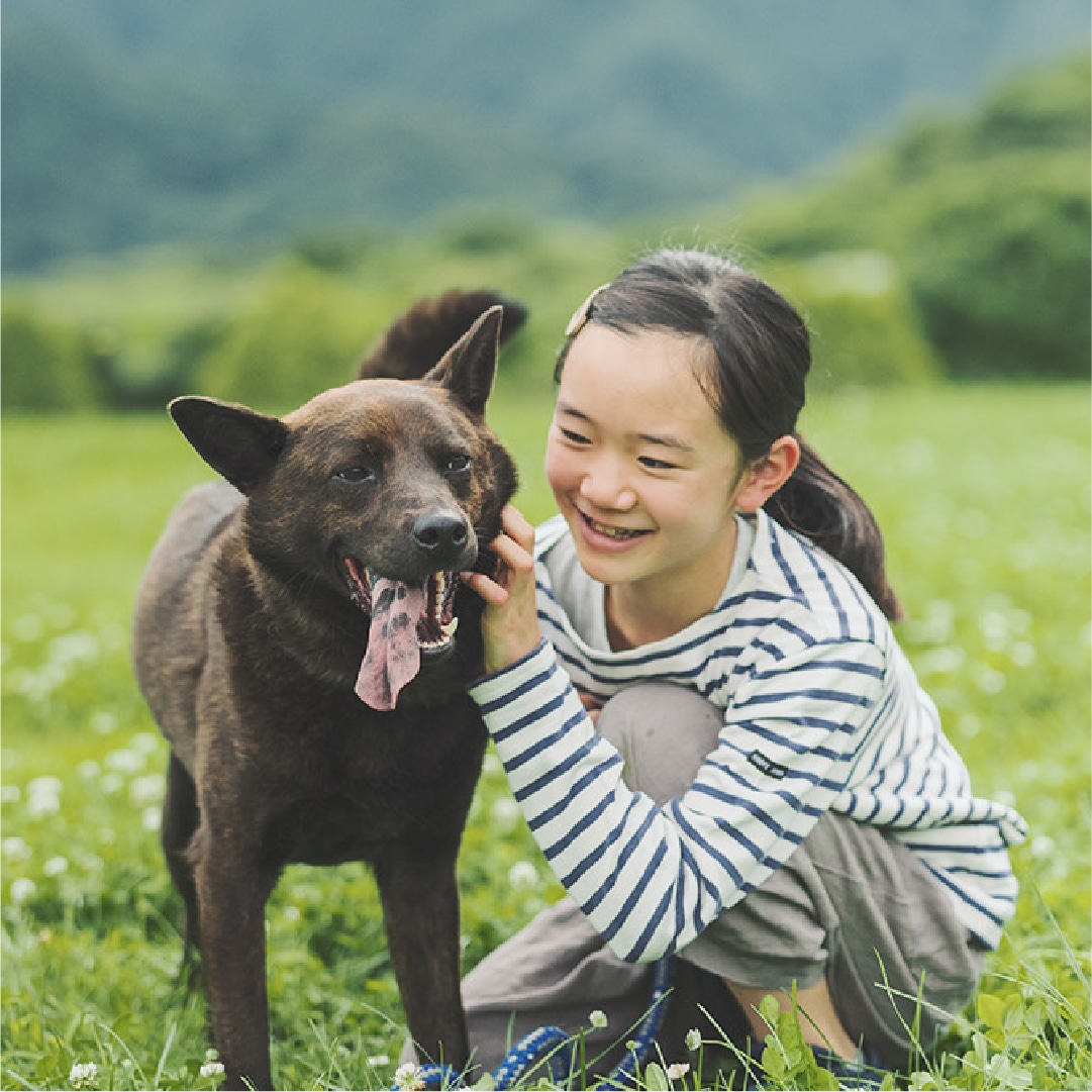 ワンちゃんとの生活の写真