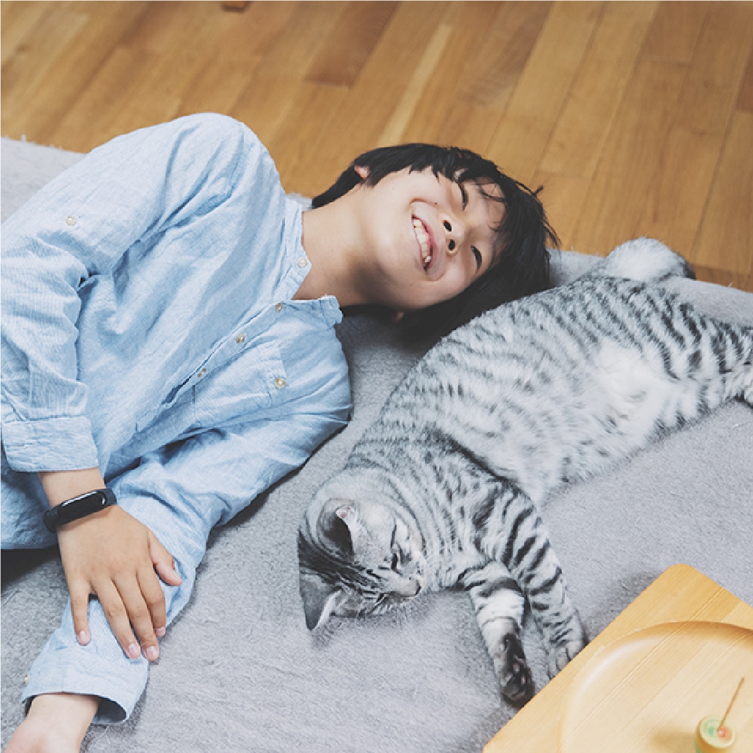 猫ちゃんとの生活の写真